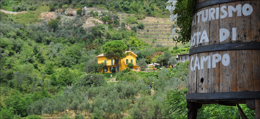 Agriturismo Costa di Campo  - Vernazza (SP) - Cinque Terre - Liguria - Italy