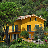 Agriturismo Costa di Campo  - Vernazza (SP) - Cinque Terre - Liguria - Italy