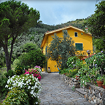 Agriturismo Costa di Campo  - Vernazza (SP) - Cinque Terre - Liguria - Italy
