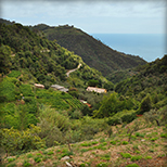 Agriturismo Costa di Campo  - Vernazza (SP) - Cinque Terre - Liguria - Italy